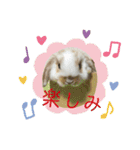 みみぃ生活（個別スタンプ：11）