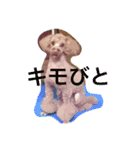 絶対的アイドルイッヌ（個別スタンプ：10）