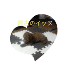 絶対的アイドルイッヌ（個別スタンプ：12）
