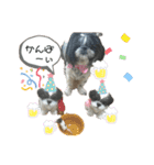 白黒シーズーふわちゃん（個別スタンプ：16）