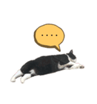 にゃいととはなこ。たまにごうくん（個別スタンプ：4）