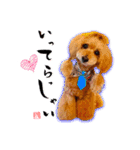 グレイシーくん【日常スタンプ】（個別スタンプ：5）