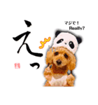 グレイシーくん【日常スタンプ】（個別スタンプ：16）