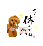 グレイシーくん【日常スタンプ】（個別スタンプ：21）