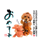 グレイシーくん【日常スタンプ】（個別スタンプ：24）
