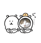 きじ白猫ちゃん3（個別スタンプ：12）