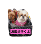 ゆうたん＆愛ちゃん（個別スタンプ：2）