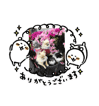 ポメ、プー①（個別スタンプ：15）