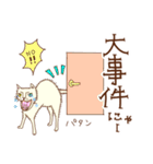 オッドアイ猫 マシュ丸くん（個別スタンプ：31）