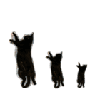 ふかのけねこ（個別スタンプ：13）