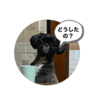 634stamps（個別スタンプ：1）