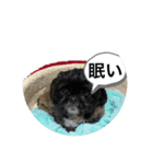 634stamps（個別スタンプ：3）