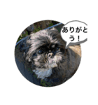 634stamps（個別スタンプ：5）