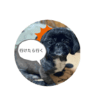 634stamps（個別スタンプ：7）