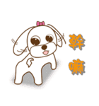 かわいいマルチーズ犬ベイベイ（個別スタンプ：4）