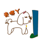 かわいいマルチーズ犬ベイベイ（個別スタンプ：5）
