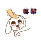 かわいいマルチーズ犬ベイベイ（個別スタンプ：6）