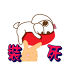 かわいいマルチーズ犬ベイベイ（個別スタンプ：8）