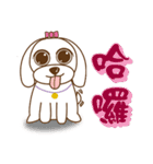 かわいいマルチーズ犬ベイベイ（個別スタンプ：11）
