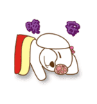 かわいいマルチーズ犬ベイベイ（個別スタンプ：13）