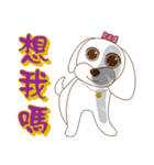 かわいいマルチーズ犬ベイベイ（個別スタンプ：20）