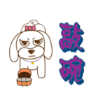かわいいマルチーズ犬ベイベイ（個別スタンプ：31）