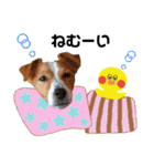 ジャックのロッタちゃん☆4（個別スタンプ：2）