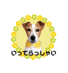 ジャックのロッタちゃん☆4（個別スタンプ：4）