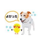 ジャックのロッタちゃん☆4（個別スタンプ：12）