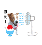 ジャックのロッタちゃん☆4（個別スタンプ：20）