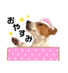 ジャックのロッタちゃん☆4（個別スタンプ：24）