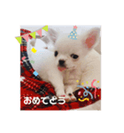 今日のぺこみ(2)（個別スタンプ：16）