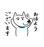 白い犬、ふく太郎の日常（個別スタンプ：1）