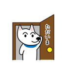 白い犬、ふく太郎の日常（個別スタンプ：31）