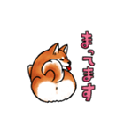 柴犬ちょびすけ（個別スタンプ：3）