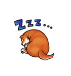 柴犬ちょびすけ（個別スタンプ：7）