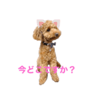 おてんばずーちゃん（個別スタンプ：3）