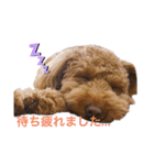 おてんばずーちゃん（個別スタンプ：4）