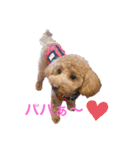 おてんばずーちゃん（個別スタンプ：7）