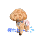 おてんばずーちゃん（個別スタンプ：9）
