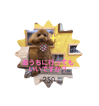 おてんばずーちゃん（個別スタンプ：14）