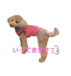 おてんばずーちゃん（個別スタンプ：15）