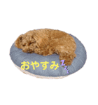 おてんばずーちゃん（個別スタンプ：17）