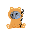 大型猫ちゃん メインクーン（個別スタンプ：7）