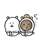 大型猫ちゃん メインクーン（個別スタンプ：24）