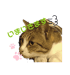 めぃちゃん にぃ（個別スタンプ：7）