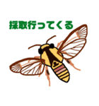 蛾っこいいスタンプ改（個別スタンプ：1）
