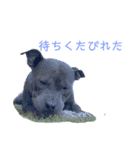 loa’s stamp（個別スタンプ：3）
