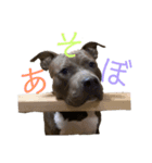 loa’s stamp（個別スタンプ：4）