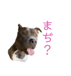 loa’s stamp（個別スタンプ：7）